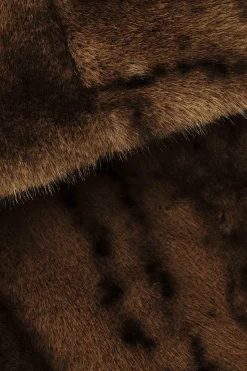 FOXY